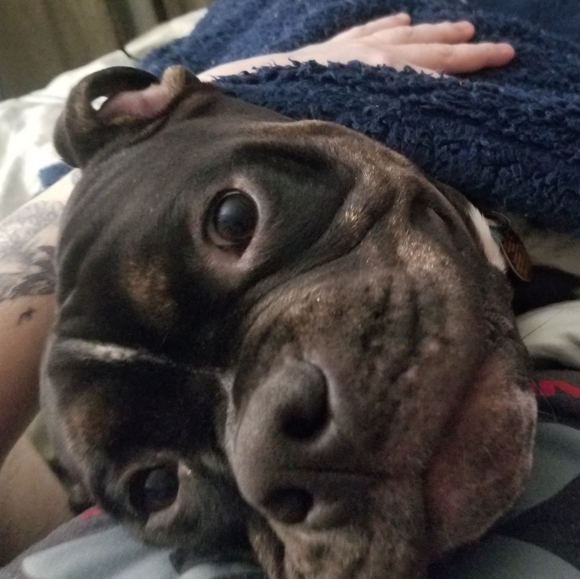 Meet your Posher, Laura - Picture 4 of 5